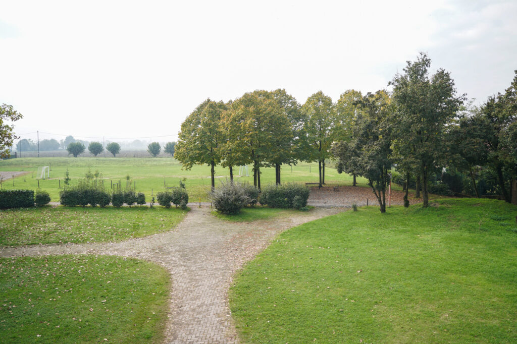 2024-Scuola-vialetto-davanti-alberi-entrata-web